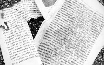 Une photo quelques mots n°451