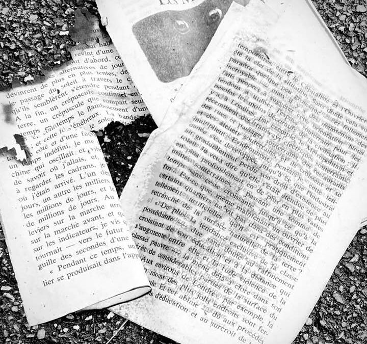 Une photo quelques mots n°451