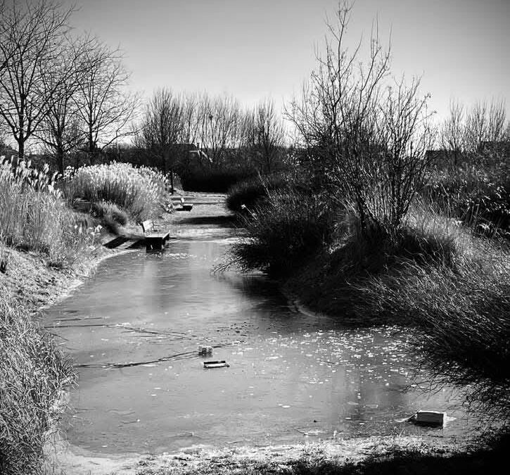 Atelier d’écriture n°449