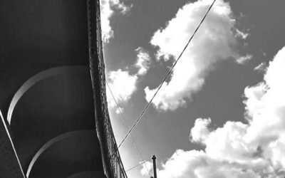 Une photo quelques mots n°452